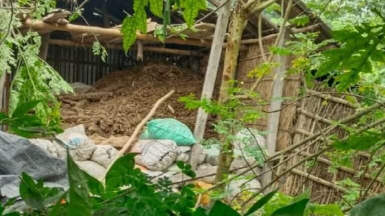 চাঁপাইনবাবগঞ্জে বসতবাড়িতে অর্ধশতাধিক ককটেলের বিস্ফোরণ