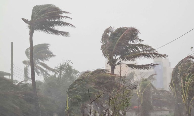 ১৭ জেলায় সন্ধ্যার মধ্যে ঝোড়ো হাওয়াসহ বৃষ্টির সতর্কতা