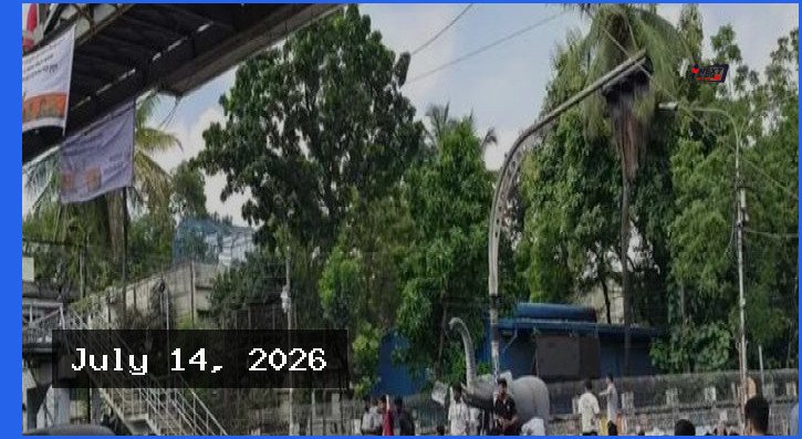 শিক্ষার্থীদের পড়ার টেবিলে ফেরার আহ্বান জানালেন শিক্ষামন্ত্রী