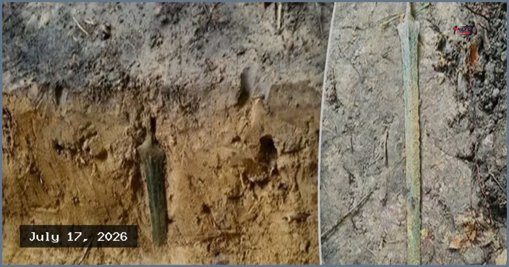 পোল্যান্ডে মাটির নিচে মিলল ২৭০০ বছরের পুরোনো অক্ষত তলোয়ার