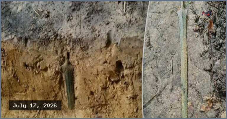 পোল্যান্ডে মাটির নিচে মিলল ২৭০০ বছরের পুরোনো অক্ষত তলোয়ার