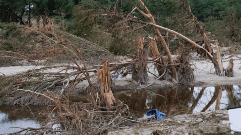 যুক্তরাষ্ট্রের টেক্সাসে আকস্মিক বন্যায় দুইজনের মৃত্যু, উদ্ধার অভিযান অব্যাহত