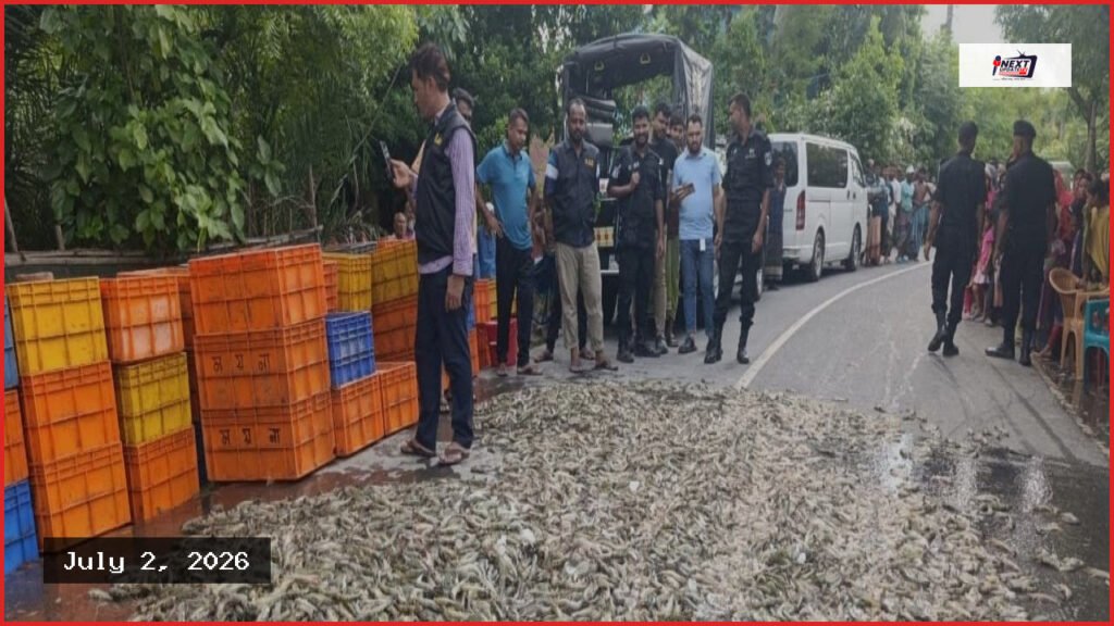 সাতক্ষীরার আশাশুনিতে জেলি পুশ করা ১৫০০ কেজি চিংড়ি জব্দ