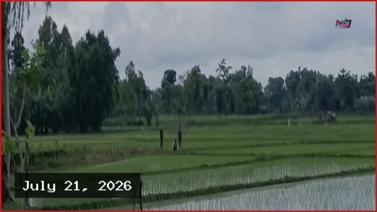 পাটগ্রাম সীমান্তে বিএসএফের খুঁটি স্থাপনের অপচেষ্টা রুখে দিল বিজিবি