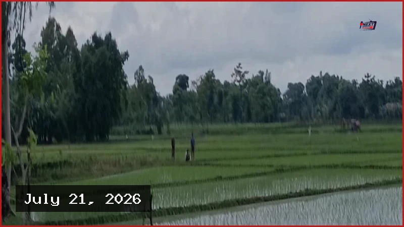 পাটগ্রাম সীমান্তে বিএসএফের খুঁটি স্থাপনের অপচেষ্টা রুখে দিল বিজিবি