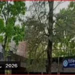 জাবি মেডিকেল সেন্টারে ওষুধ উধাও, স্টোর কর্মকর্তার বিরুদ্ধে তদন্ত