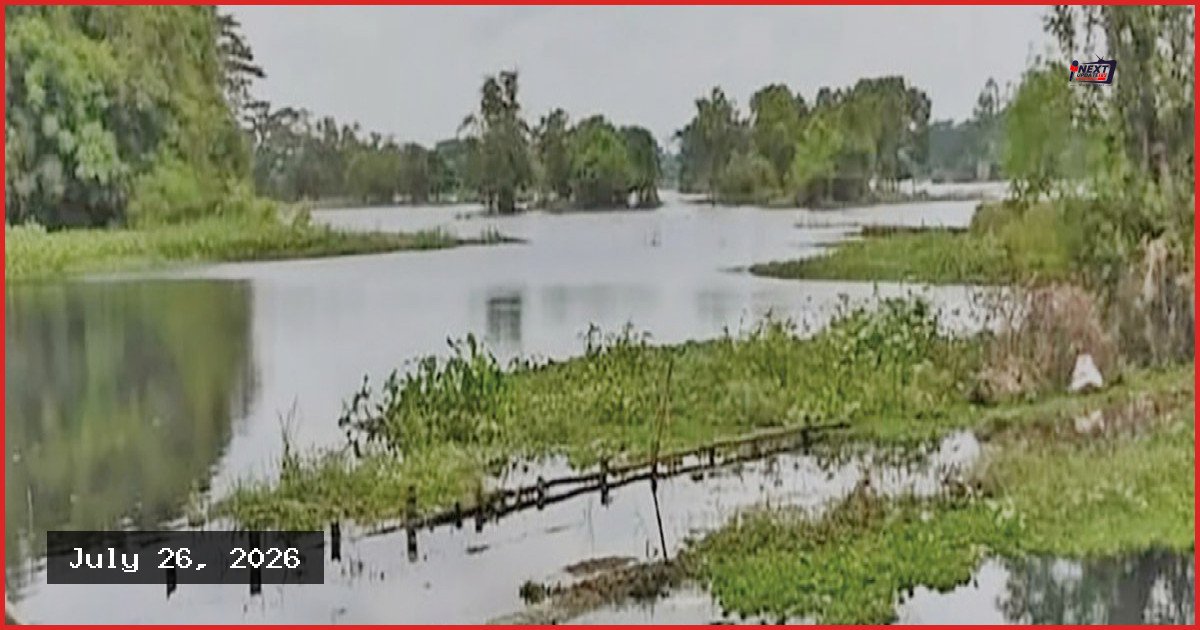 শিল্প বর্জ্যে মারাত্মক দূষণের কবলে হালদা নদীর স্বচ্ছ পানি