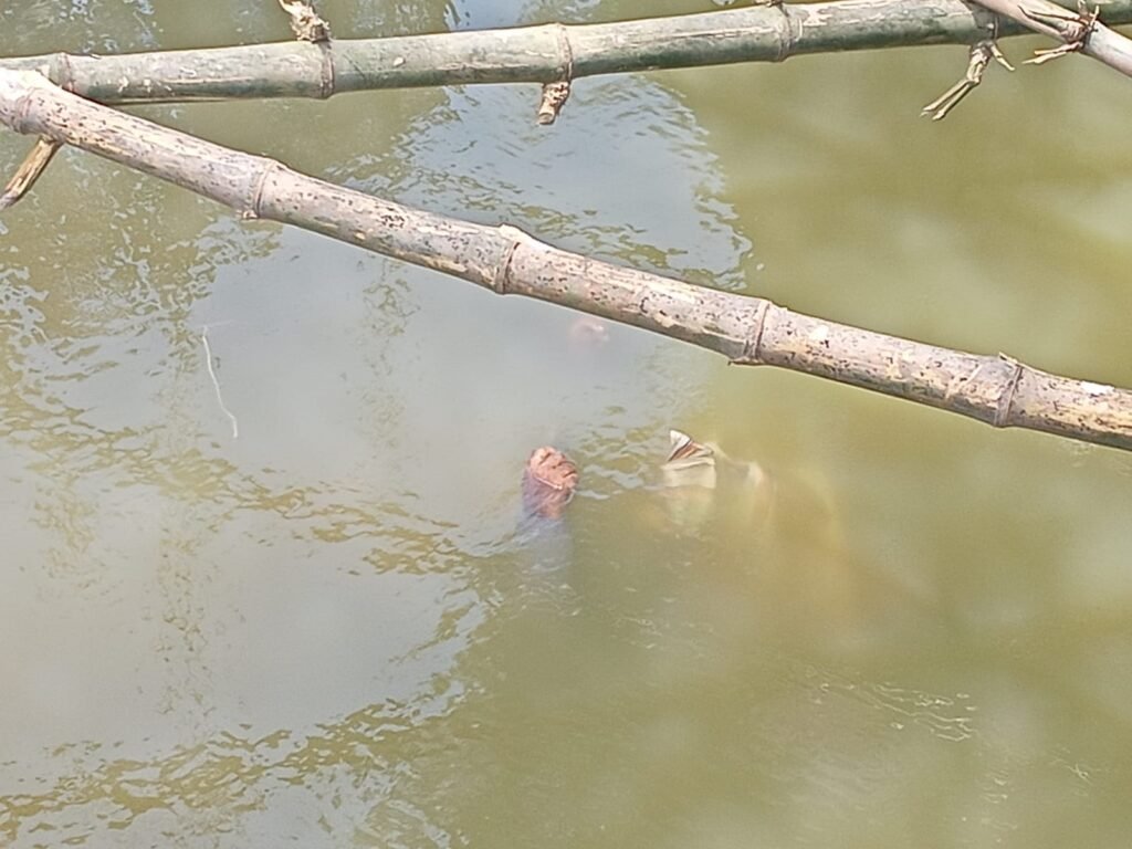 মহেশপুরে খাল থেকে অজ্ঞাত ব্যক্তির মরদেহ উদ্ধার