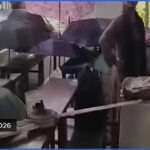 জগন্নাথ বিশ্ববিদ্যালয়ে ক্লাস চলাকালে সিলিং ফ্যান পড়ে শিক্ষার্থী আহত