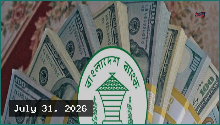 জুলাইয়ের ২৯ দিনে ২৭১ কোটি ডলার রেমিট্যান্স আয়