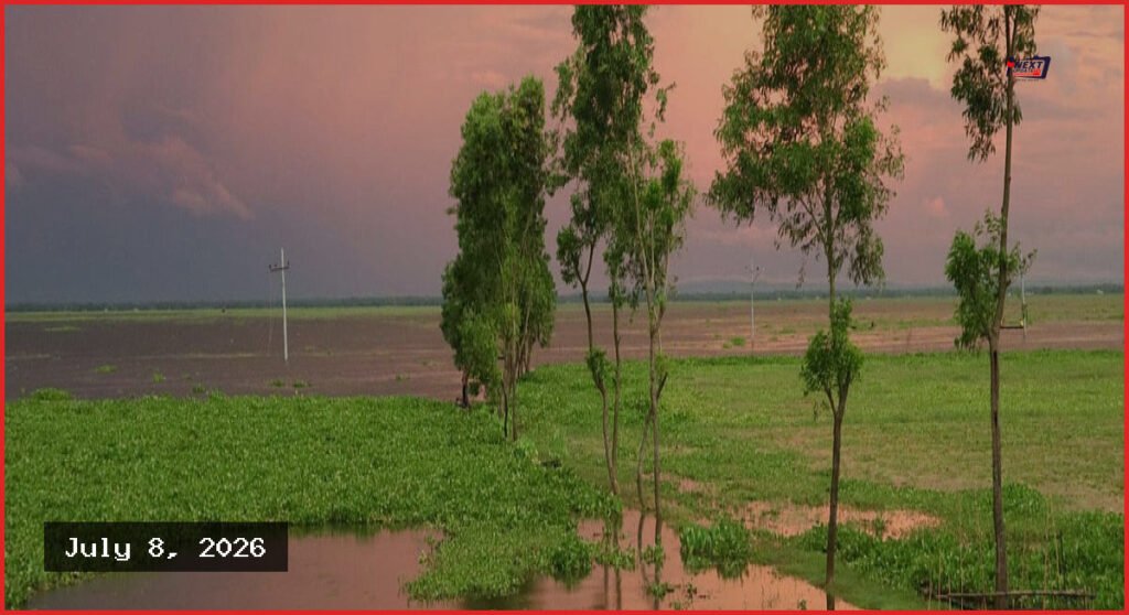বর্ষার রূপের ডালি সাজিয়ে মৌলভীবাজারের কাউয়াদীঘি হাওর