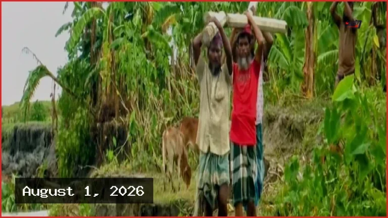 ভোলায় মেঘনার তীব্র ভাঙনে দিশেহারা চরাঞ্চলের মানুষ