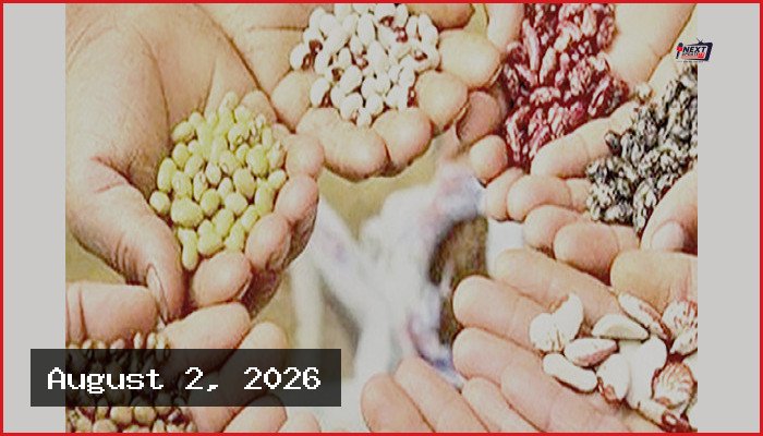 ব্যক্তিগত জীবনে স্বাবলম্বিতা ও সাফল্যের ইসলামি দৃষ্টিভঙ্গি