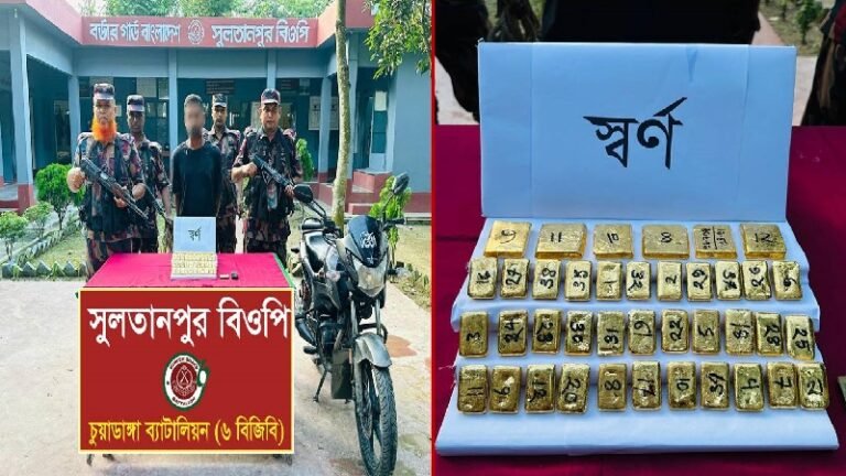 চুয়াডাঙ্গায় ৭ কেজি স্বর্ণসহ পাচারকারী আটক