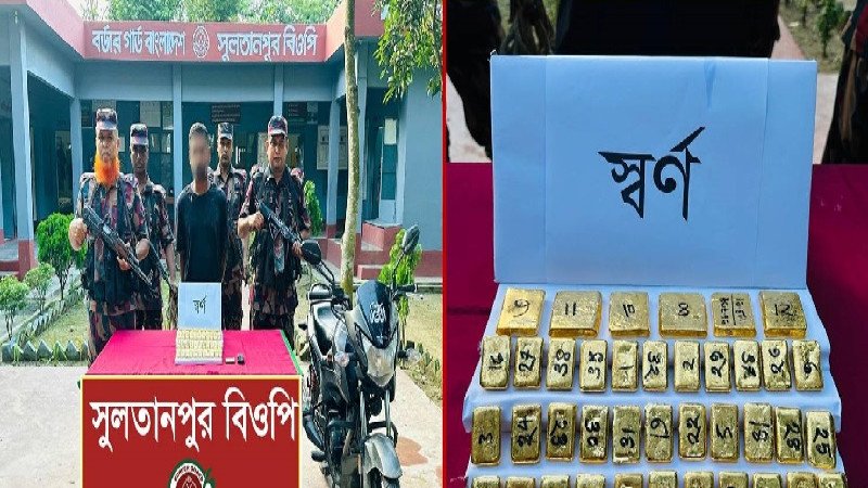 চুয়াডাঙ্গায় ৭ কেজি স্বর্ণসহ পাচারকারী আটক