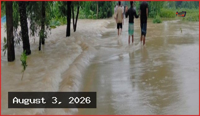 আগামী ৭২ ঘণ্টায় দেশের পাঁচ জেলায় বন্যার পূর্বাভাস