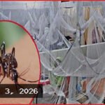 দেশে ২৪ ঘণ্টায় ডেঙ্গুতে আরও ৩ জনের মৃত্যু