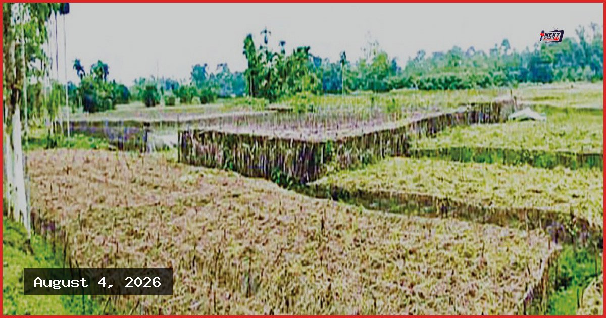 বাঁশখালীতে বন্যায় ২৭ হাজার কৃষক ক্ষতিগ্রস্ত, ফসলের ব্যাপক ক্ষতি