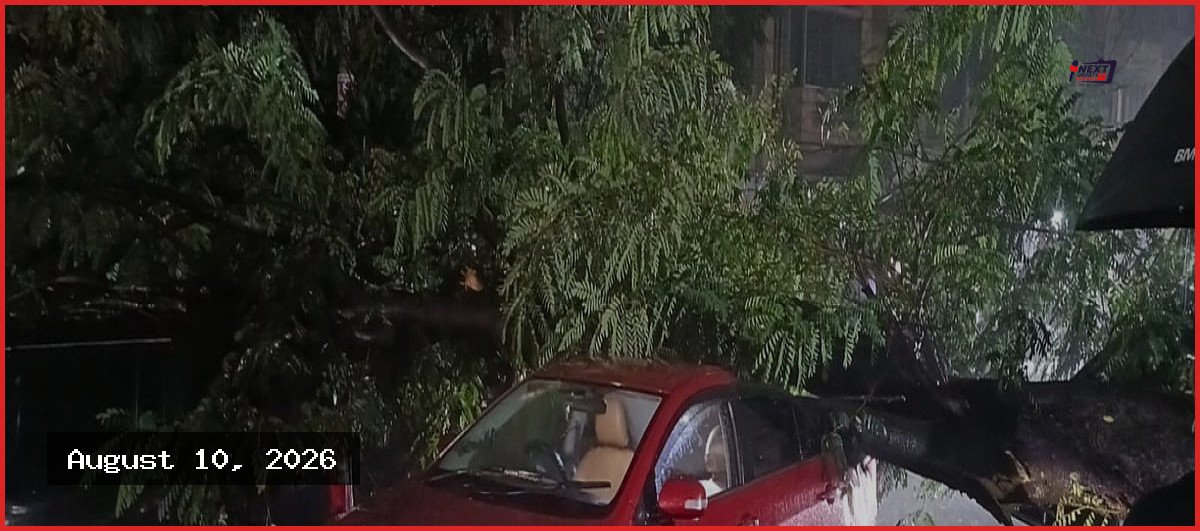 ধানমন্ডিতে ভারী বৃষ্টিতে গাছ উপড়ে ৩ গাড়ি ক্ষতিগ্রস্ত, হতাহত নেই