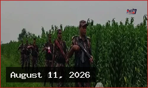 মেহেরপুরে বিএসএফের হাতে বাংলাদেশি কৃষক আটক, পাল্টা দুই ভারতীয় আটক
