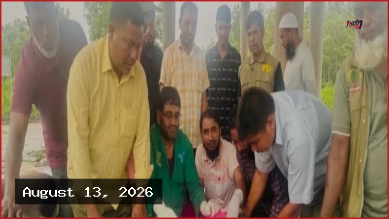 সাফারি পার্কে দুটি হাতির মৃত্যু, শোকের ছায়া