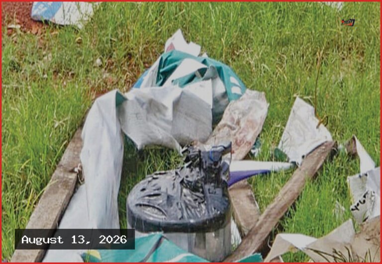 সাভার ও কেরানীগঞ্জে নাশকতার পরিকল্পনা, ১১ ঘটনায় একই গোষ্ঠী জড়িত