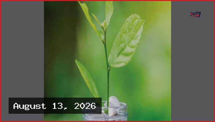ইসলামে যেসব পেশা সম্পূর্ণ হারাম ও নিষিদ্ধ