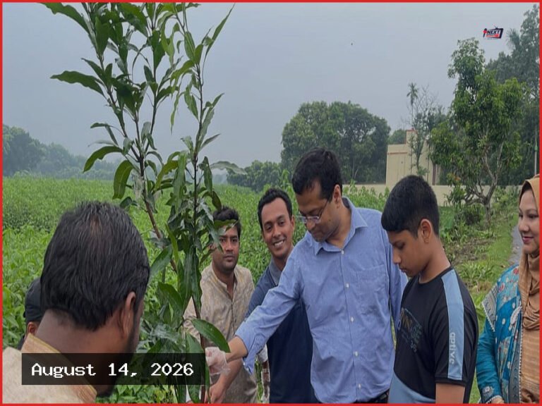 কুষ্টিয়ার চিকিৎসক শুধু চারা বিতরণ নয়, গাছ বাঁচানোরও উদ্যোগী