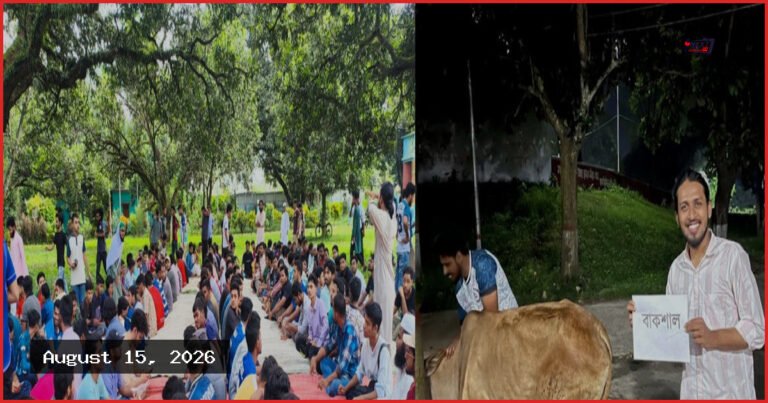 রাজশাহী বিশ্ববিদ্যালয়ে ‘বাকশাল’ নামে গরু জবাই করে ভোজ