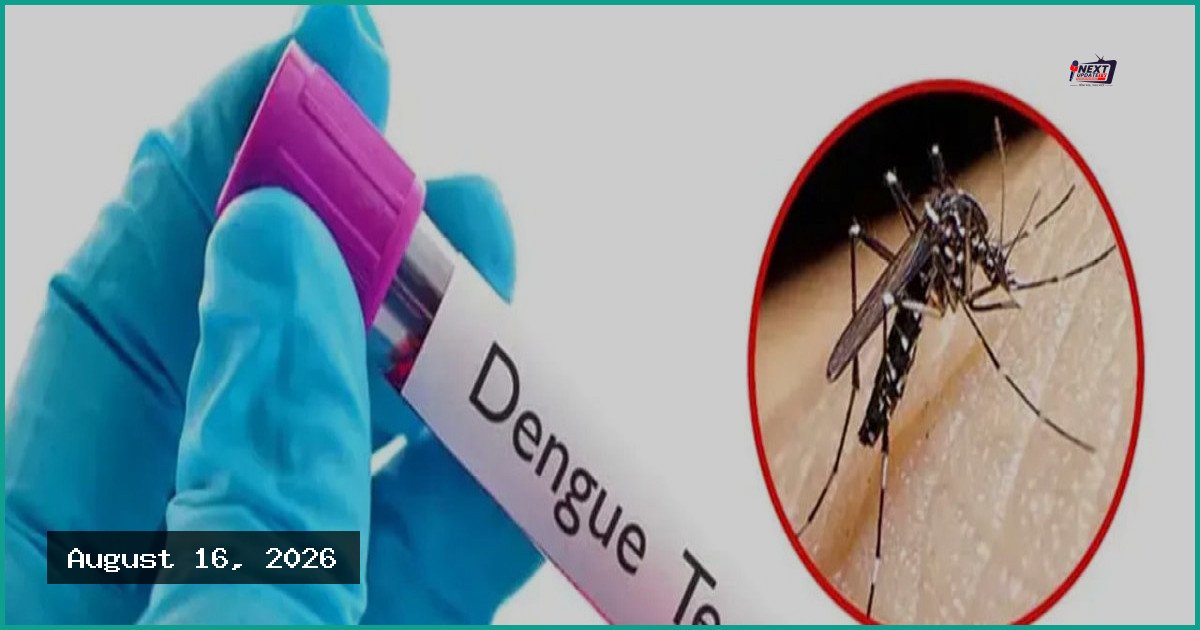 দেশে ডেঙ্গুতে আরো ৩ জনের মৃত্যু, নতুন আক্রান্ত ৮০৫