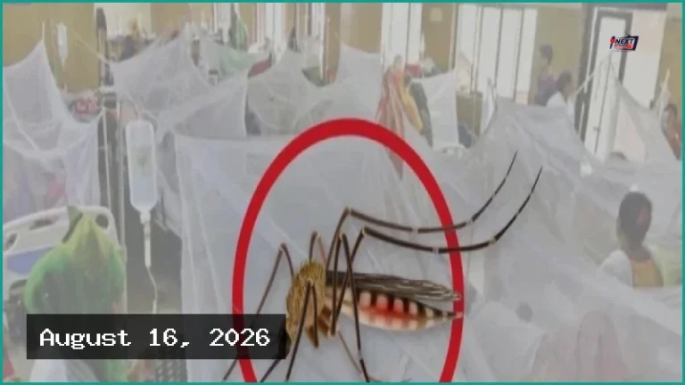 ডেঙ্গুতে আরও ৩ জনের মৃত্যু, ২৪ ঘণ্টায় হাসপাতালে ৮০৫ রোগী
