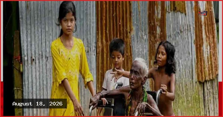 দৃষ্টিহীন দিদির জন্য হুইলচেয়ার চাইল ৯ বছরের শিশু তুলি