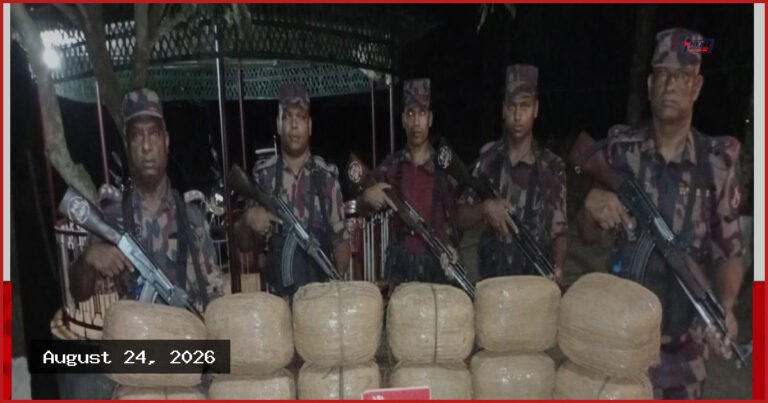 কুমিল্লার চৌদ্দগ্রামে বিজিবির অভিযানে ৮০ কেজি ভারতীয় গাঁজা উদ্ধার
