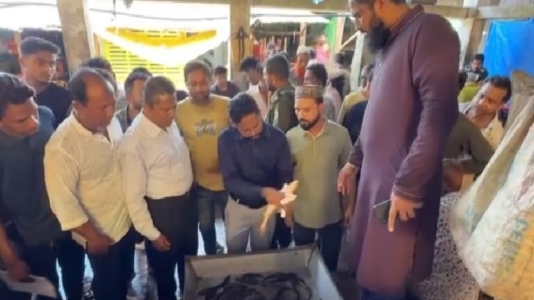 ভাণ্ডারিয়ায় মাছে ক্ষতিকর রং মেশানোয় তিন ব্যবসায়ীর জরিমানা
