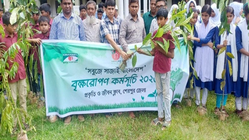 নালিতাবাড়ীতে প্রকৃতি ও জীবন ক্লাবের বৃক্ষরোপণ ও চারা বিতরণ কর্মসূচি