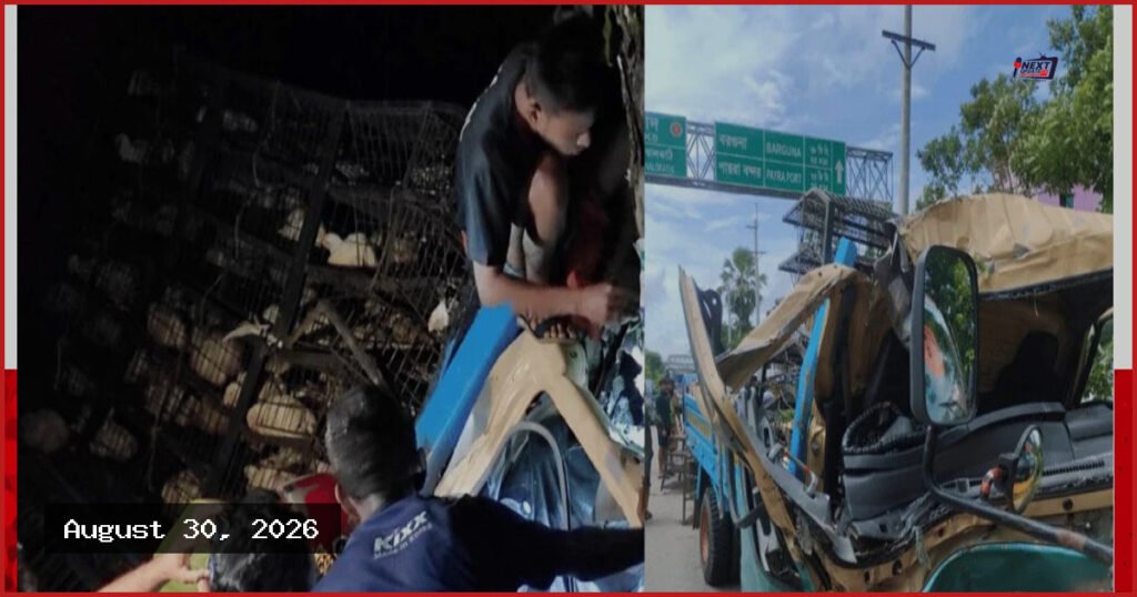 ঝালকাঠিতে গাছের সঙ্গে পিকআপের ধাক্কা, হেলপার নিহত