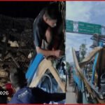ঝালকাঠিতে গাছের সঙ্গে পিকআপের ধাক্কা, হেলপার নিহত