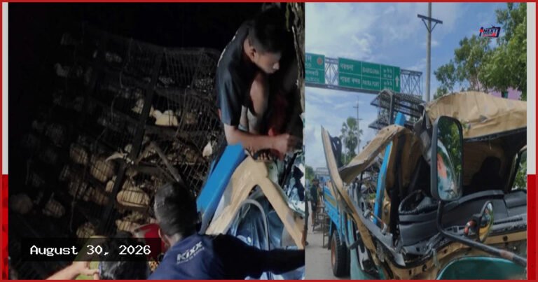 ঝালকাঠিতে গাছের সঙ্গে পিকআপের ধাক্কা, হেলপার নিহত