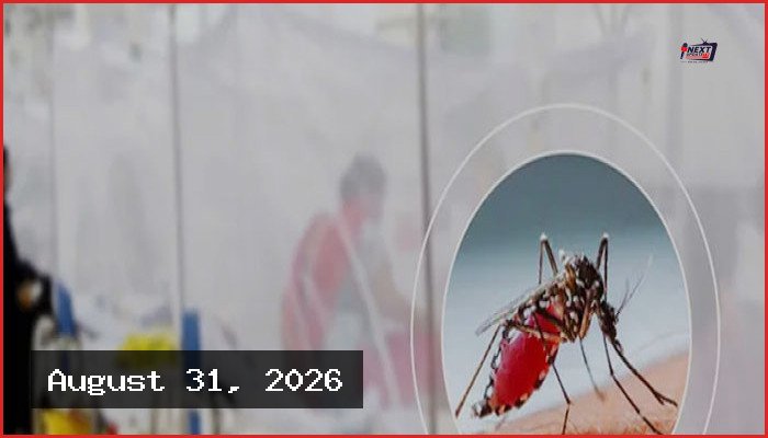 দেশে ডেঙ্গুতে আরও ৪ জনের মৃত্যু, আক্রান্তের সংখ্যায় নতুন রেকর্ড