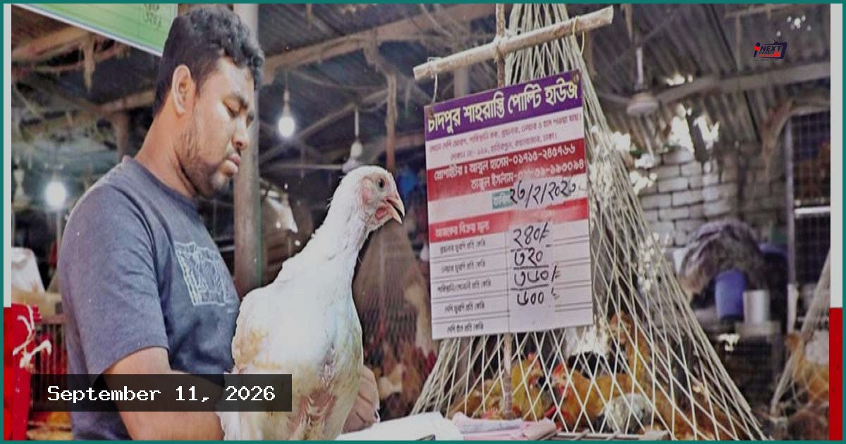 রাজধানীর বাজারে সবজির সাথে চড়া ডিম ও মুরগির দামও