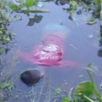 বড়াল নদী থেকে ভ্যানচালক কিশোরের ভাসমান মরদেহ উদ্ধার