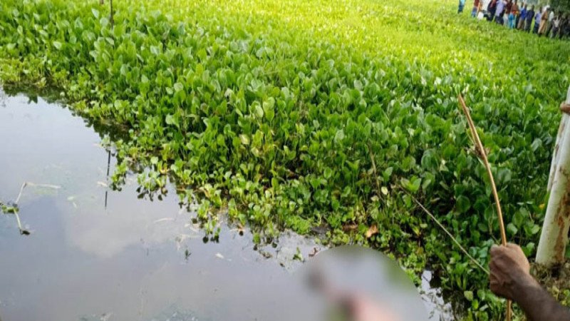 মেঘনায় অজ্ঞাত যুবকের লাশ উদ্ধার, পরিচয় শনাক্তে পুলিশি তৎপরতা