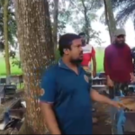 কলারোয়ায় ২৮০ মৌ-বাক্স পুকুরে ফেলে বিপুল মৌমাছি নিধন