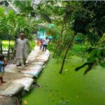 কাজীপুরের মানিকপোটলে ৩০০ ফুট কাঁচা রাস্তা সংস্কার, স্বস্তি এলাকাবাসীর