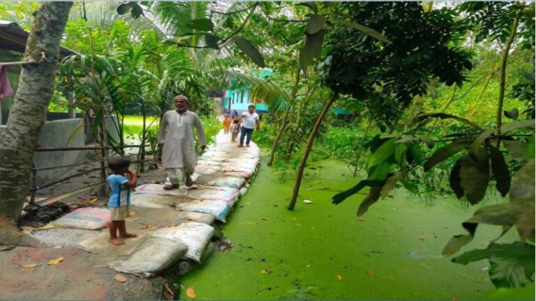 কাজীপুরের মানিকপোটলে ৩০০ ফুট কাঁচা রাস্তা সংস্কার, স্বস্তি এলাকাবাসীর