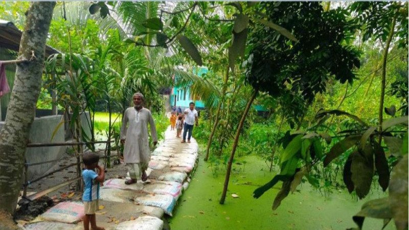 কাজীপুরের মানিকপোটলে ৩০০ ফুট কাঁচা রাস্তা সংস্কার, স্বস্তি এলাকাবাসীর