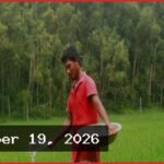 ৬৪ জেলায় শতভাগ সার বরাদ্দ নিশ্চিত: কৃষি ব্যবস্থাপনায় নতুন উদ্যোগ
