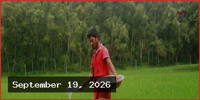 ৬৪ জেলায় শতভাগ সার বরাদ্দ নিশ্চিত: কৃষি ব্যবস্থাপনায় নতুন উদ্যোগ