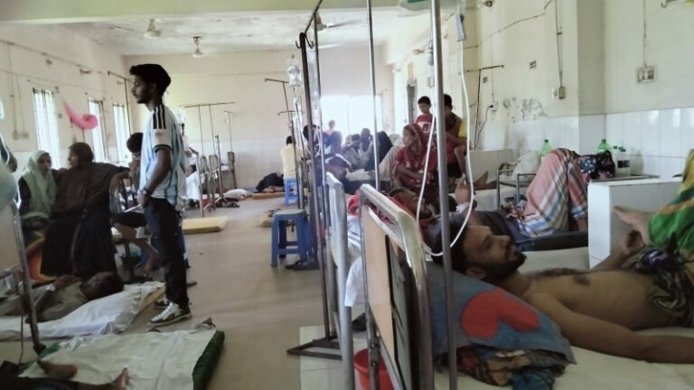 গাজীপুরের কাপাসিয়ায় এক সপ্তাহে ডেঙ্গু শনাক্ত ৭৪