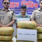 জামালপুরে ২০ কেজি গাঁজাসহ মাদক কারবারি দুলাল আটক